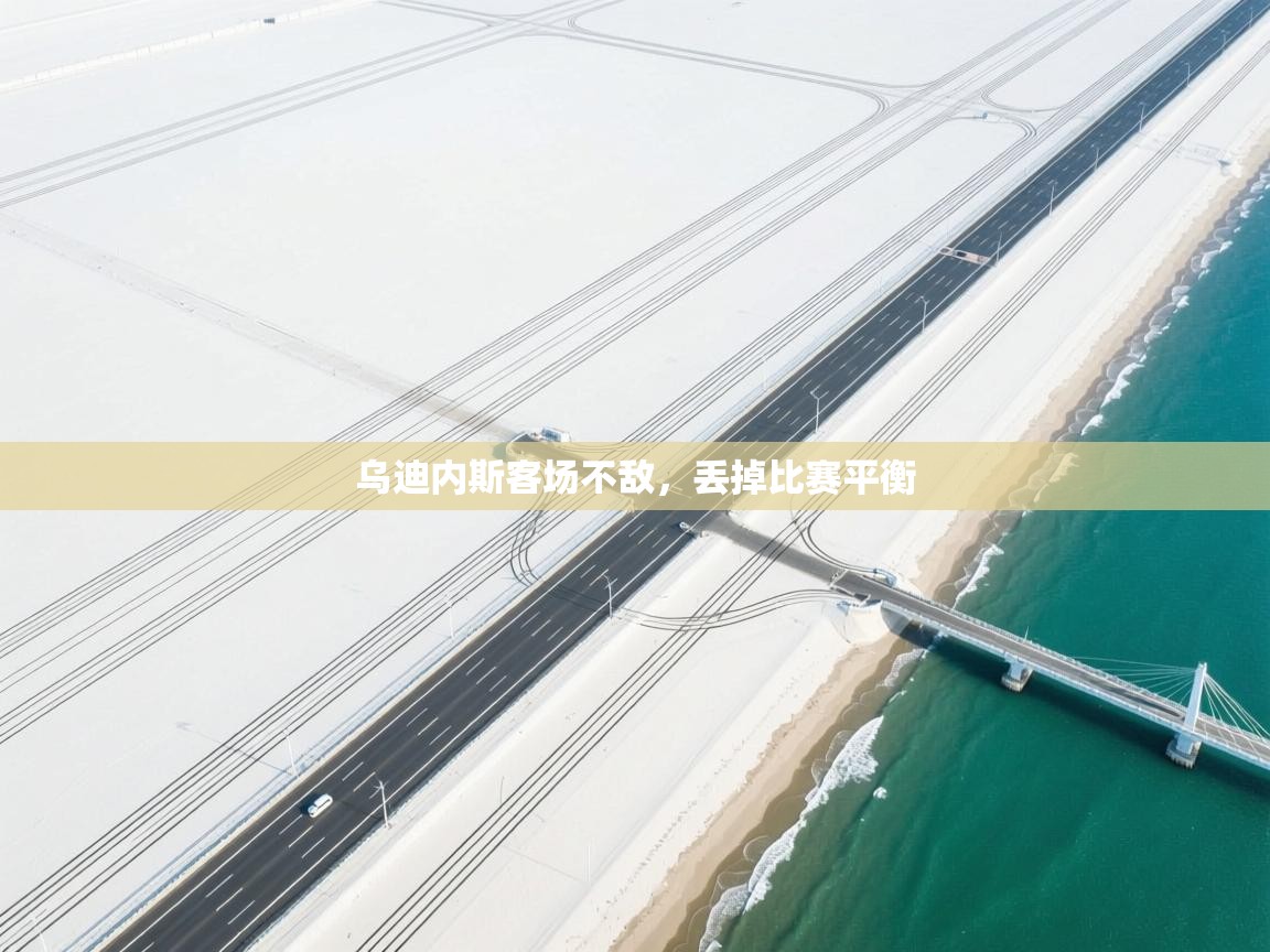 乌迪内斯客场不敌，丢掉比赛平衡  第1张