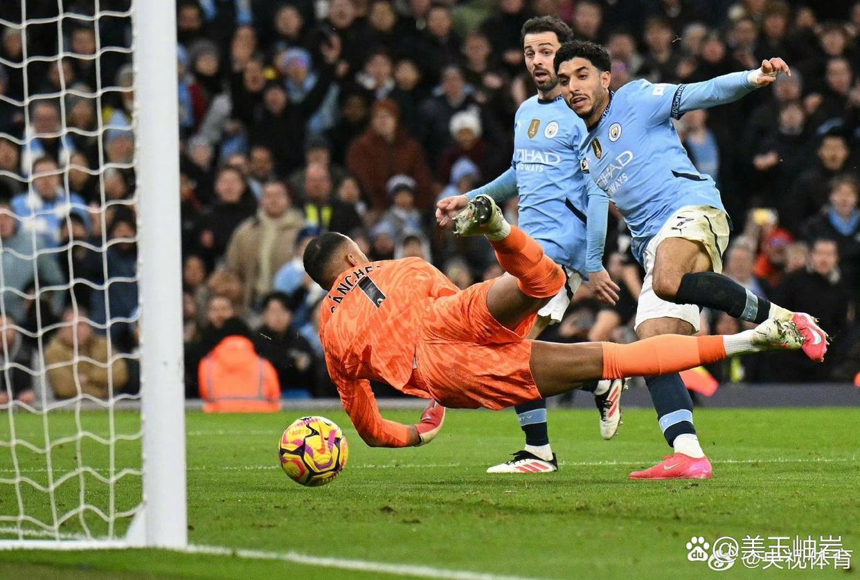 切尔西客场不敌布莱顿，遭遇挫折的简单介绍