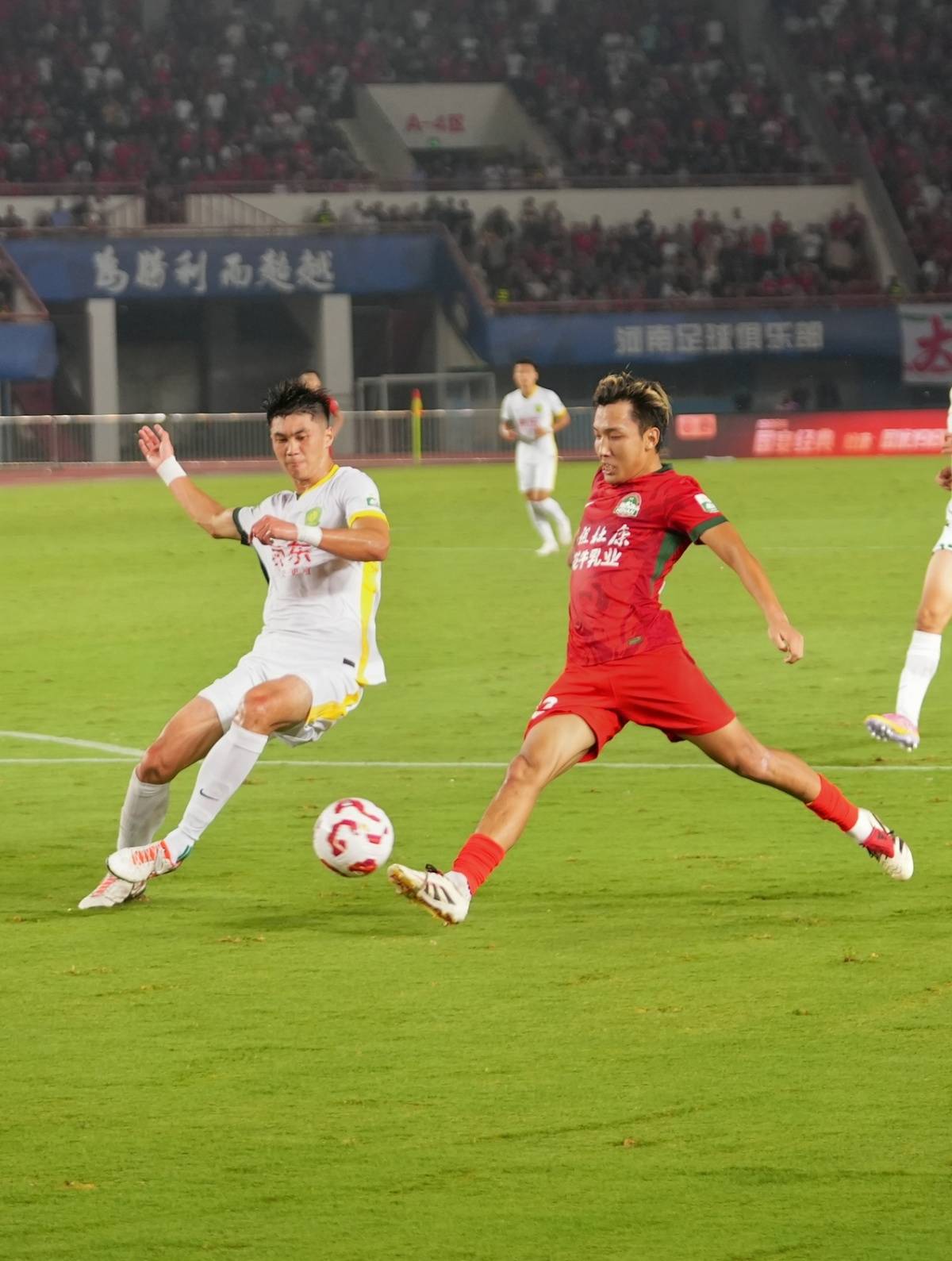 河南队主场击败对手，雄踞前列的简单介绍